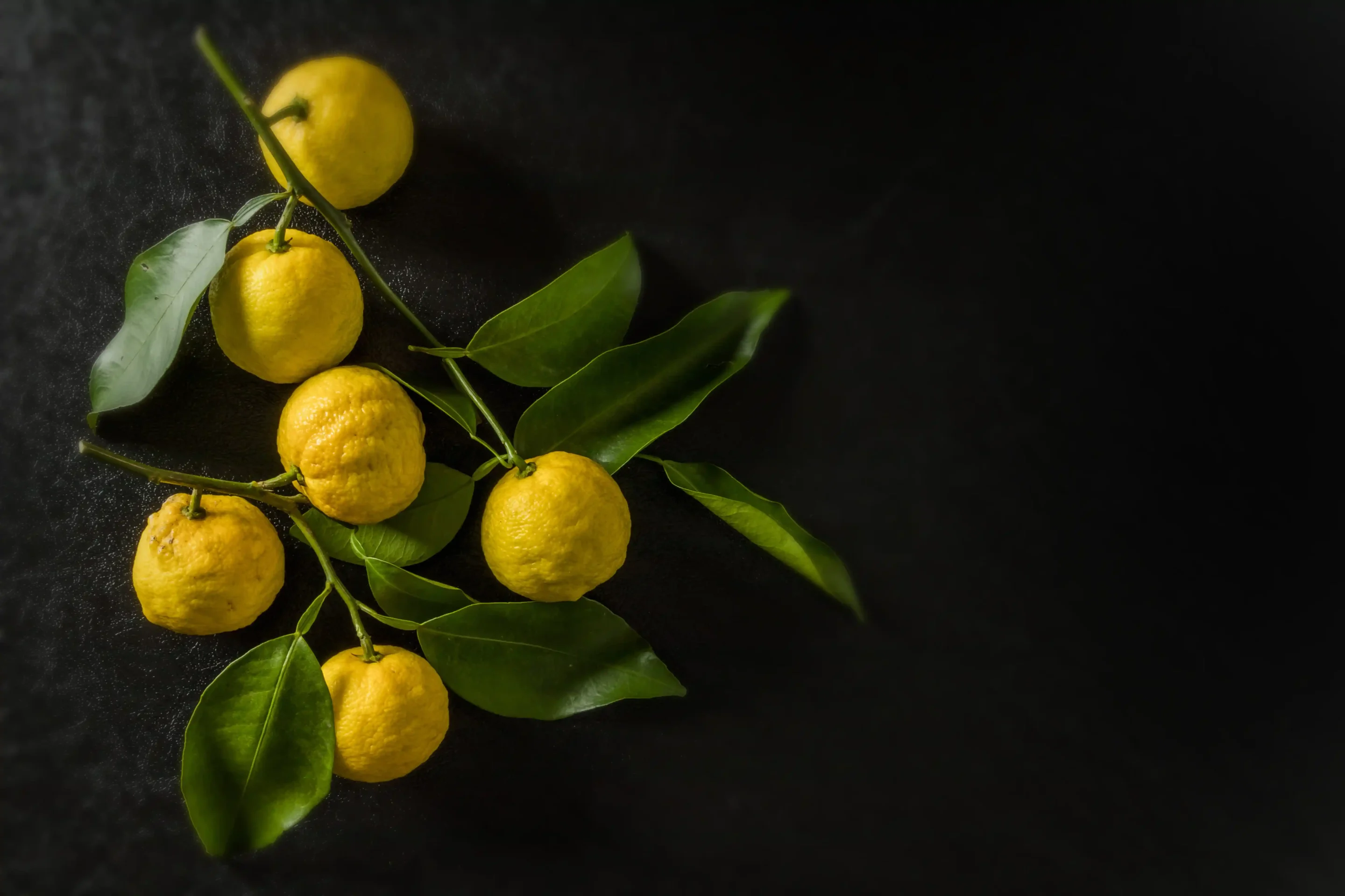 Yuzu 200ml